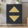 23.6" Rattan Modern Shoe Cabinet With 2 Flap Drawers - ModernLuxe